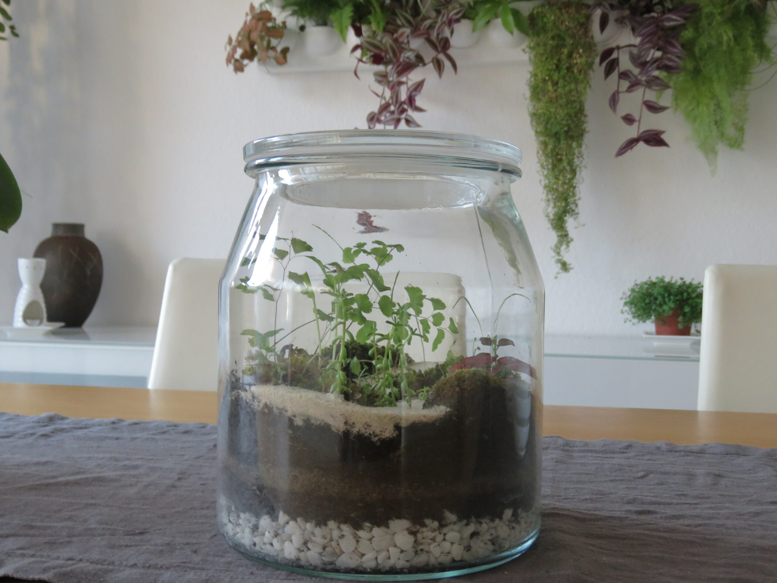 Terrarium Salon