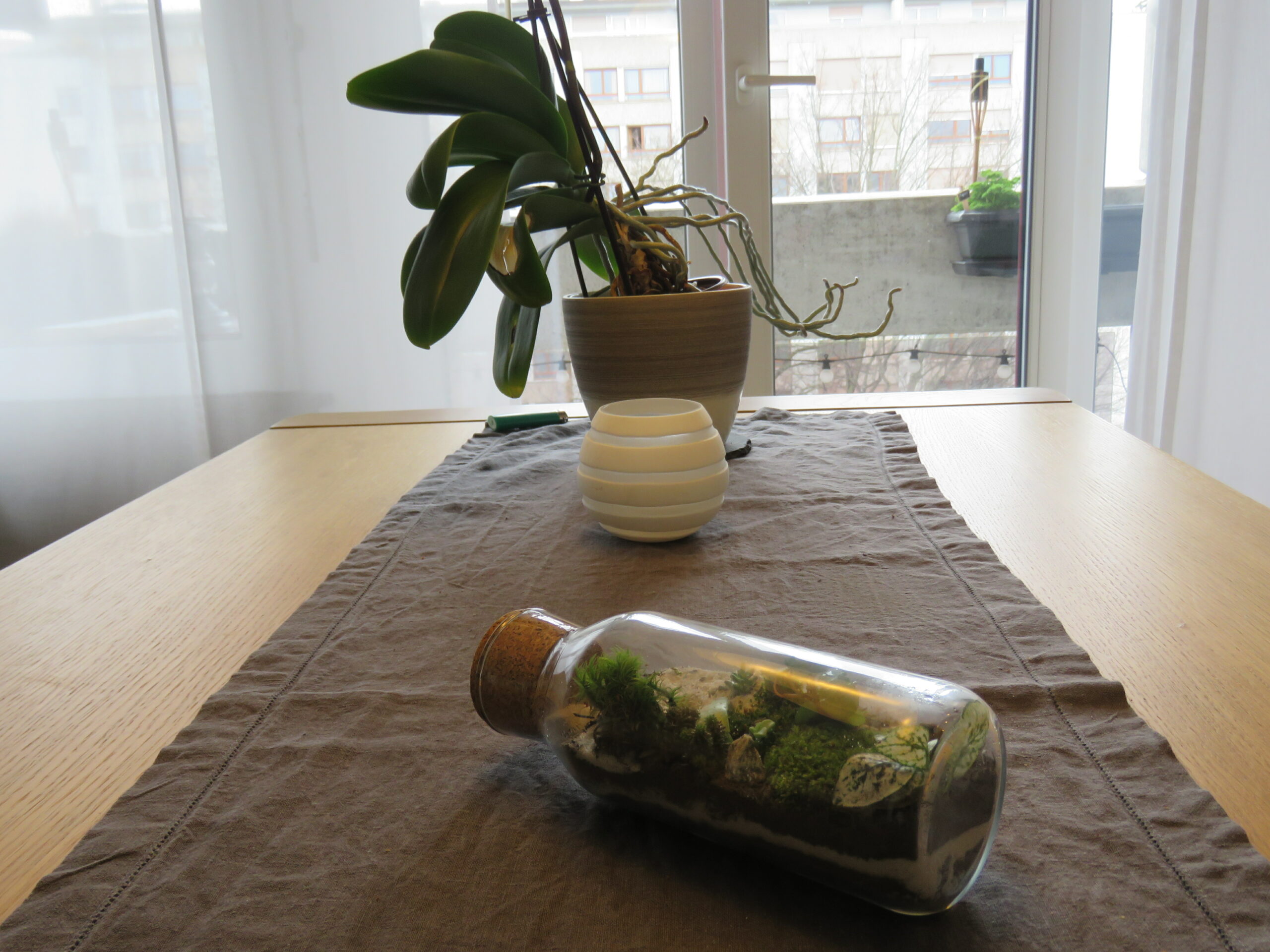 Terrarium Bureau